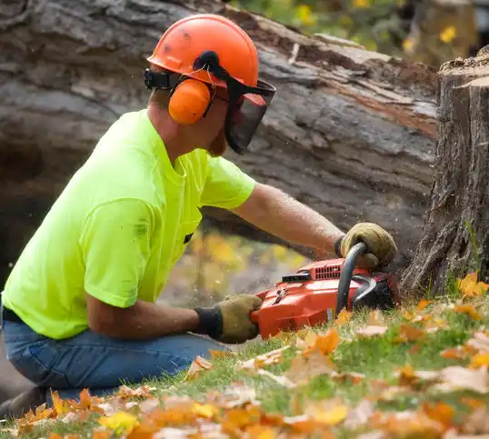 tree services Crisfield